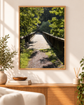 Holzbrücke im Wald – Fotoprint