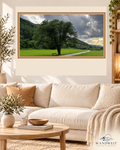 Baum und Bank unter Gewitterhimmel – WANDWEIT Fotoprint im Wohnraum