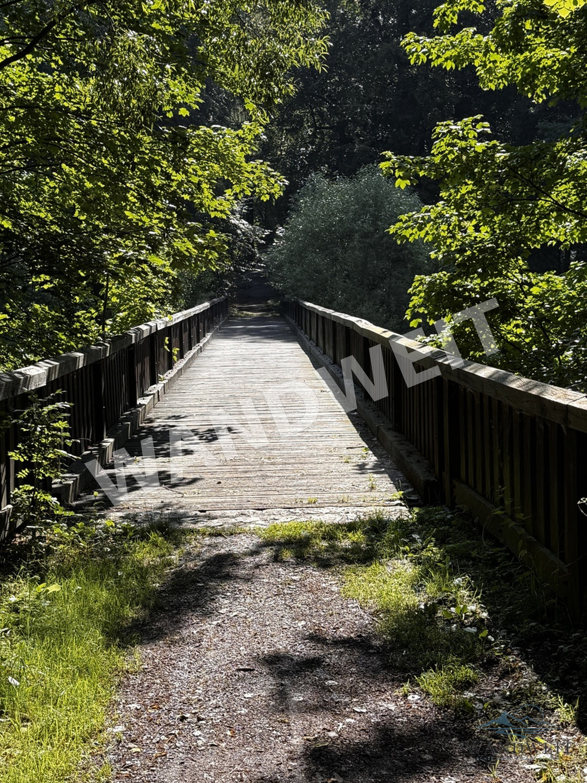 Holzbrücke im Wald – Originalfoto mit WANDWEIT Wasserzeichen